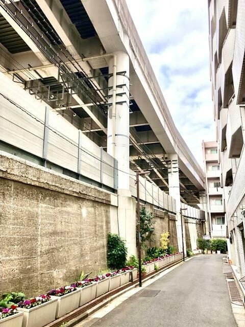 エミリーの周辺