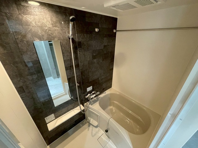eclat Vの浴室