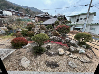 【庭】 | 呉市倉橋町大向　戸建 | 広い庭　庭園風にお手入れして観賞できます