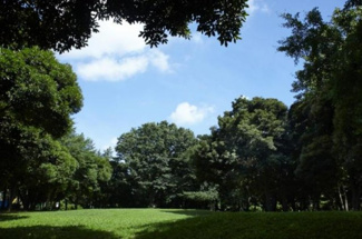 【周辺】 | 北区滝野川2丁目　新築戸建　№1 7980万円 | 北区中央公園