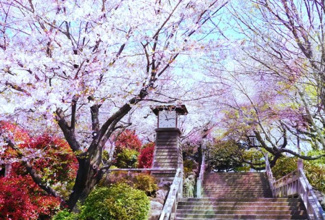【周辺】 | 北区滝野川2丁目　新築戸建　№1 7980万円 | 飛鳥山公園