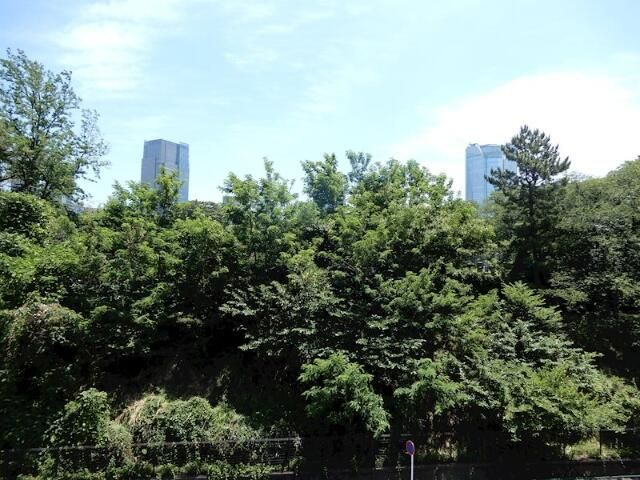 南青山マスターズハウスの展望