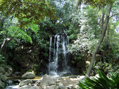【周辺】 | 北区滝野川2丁目　新築戸建　№2 7980万円 | 名主の滝公園