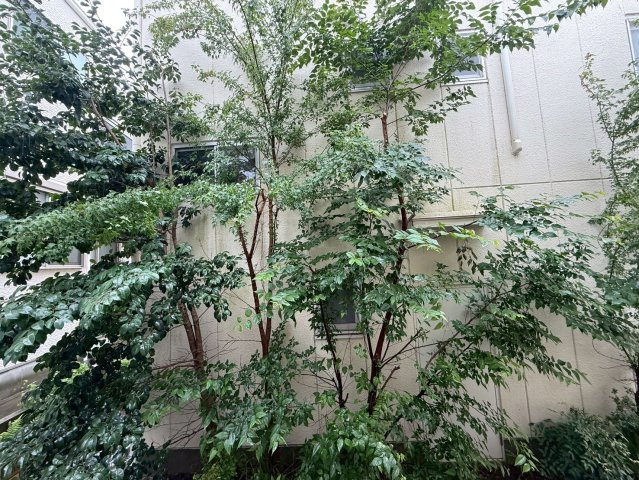 カーサ清正｜名古屋市の賃貸ならMy賃貸の展望|カーサ清正
