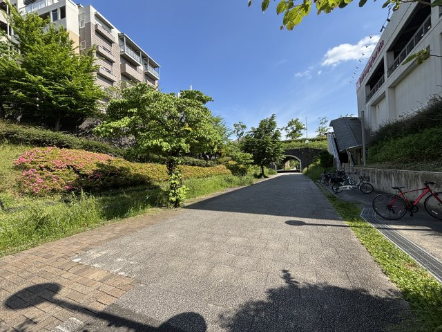 の-の画像