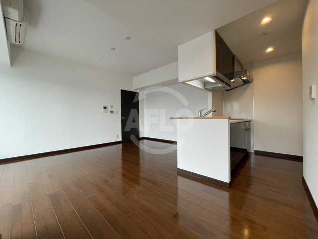 アステリオ北堀江　ザ・メトロタワーの居間・リビング|アステリオ北堀江　ザ・メトロタワー　　リビング