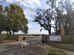 龍ケ崎市平台1丁目　中古戸建のその他|馴柴台小学校まで300ｍ

