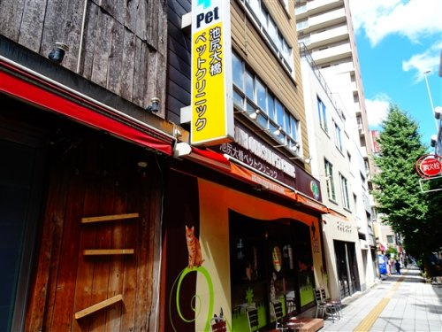 ＧＲＡＮ ＰＡＳＥＯ三宿の周辺|【その他】池尻大橋ペットクリニックまで563ｍ