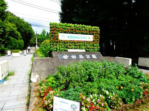  ａＬＡＴＯ祐天寺の周辺|【その他】世田谷公園まで651ｍ