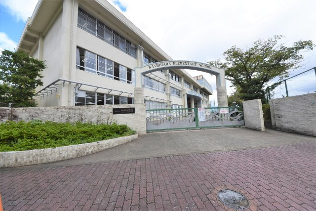 福岡市南区柏原6丁目第1-2棟（B号棟）の周辺|柏原小学校