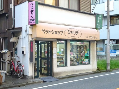 クレイシア都立大学クラッセの周辺|【ペットショップ】ペットショップシャリテまで446ｍ