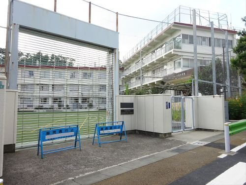 コルヌイエ八雲の周辺|【小学校】 目黒区立八雲小学校まで247ｍ