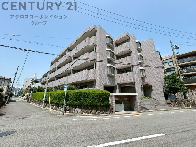 現況写真