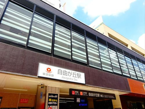 自由が丘パインクレスト の周辺|【駅】自由が丘駅まで416ｍ