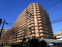 ライオンズプラザ大宮の画像