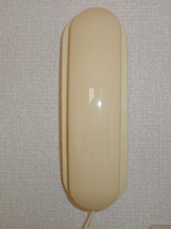 上田ラクメゾンBのセキュリティ