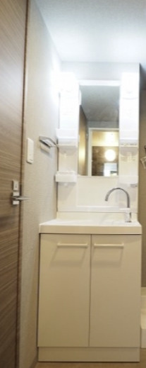 レオーネ方南町の洗面所