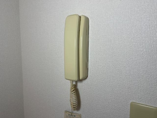 エヴァーグリーンのセキュリティ|ドアホン