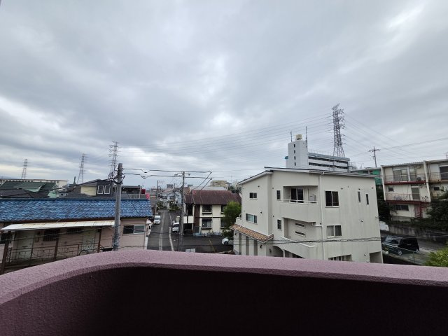 ミレニアム・パレの展望