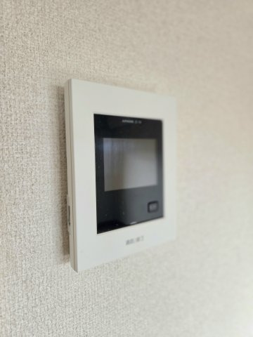 ミレニアム・パレのセキュリティ