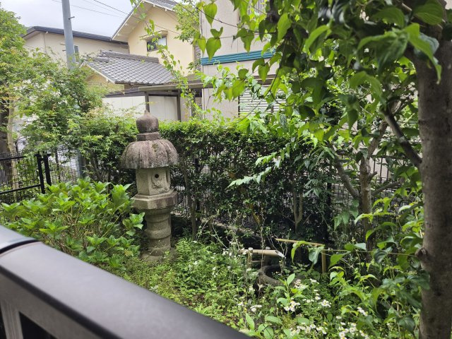 ヴィラ停雲の展望