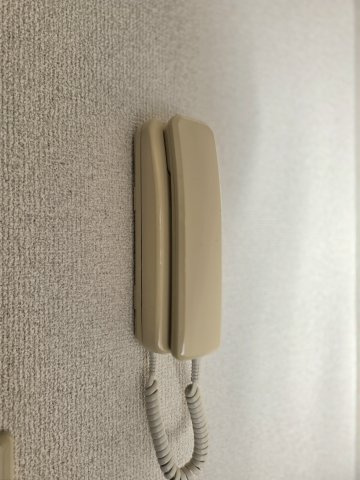 エヴァーグリーンのセキュリティ