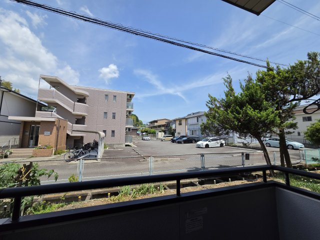 M Stage Saeの展望
