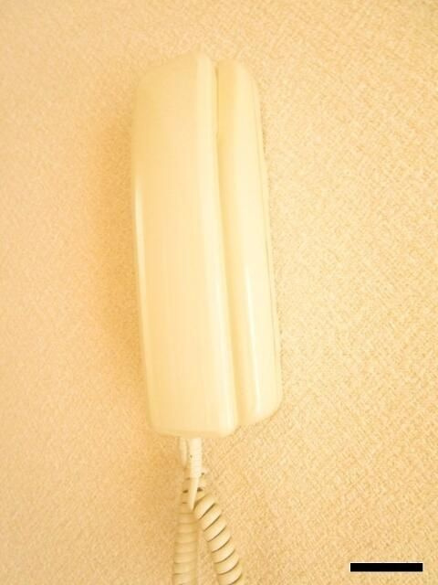 グリーンヒル　タカハシⅡのセキュリティ