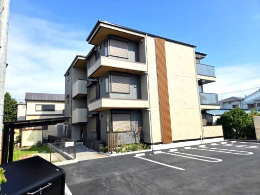 D-crinum竹原