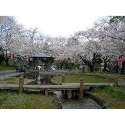【周辺】 | ベルゾーネ２１ | 公園「春日町さつき緑地まで491ｍ」