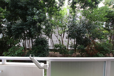 お部屋からの景色になります