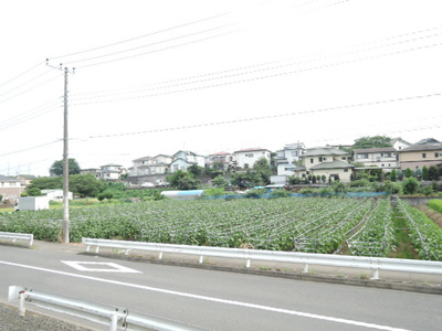 お部屋からの景色