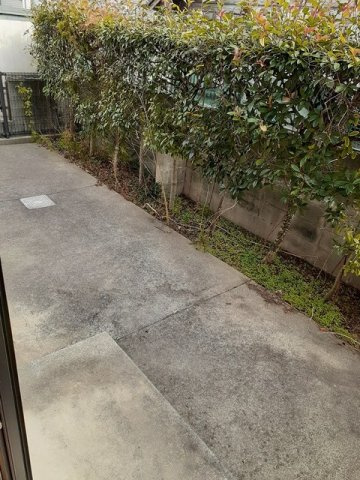 サニ－コ－トの庭