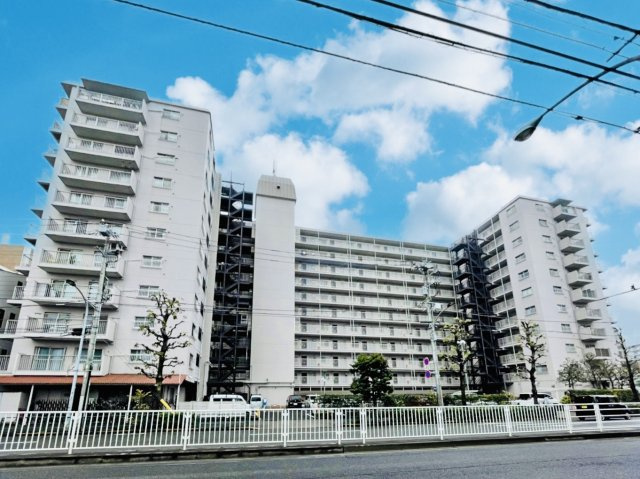 宇喜田カメリア