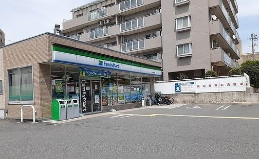 Ｈｅｉ　Ｓｔａｄｔのその他