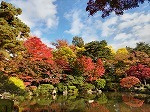 シェーネ東原のその他|その他