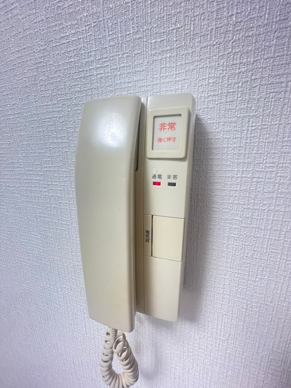 レヴィータのセキュリティ