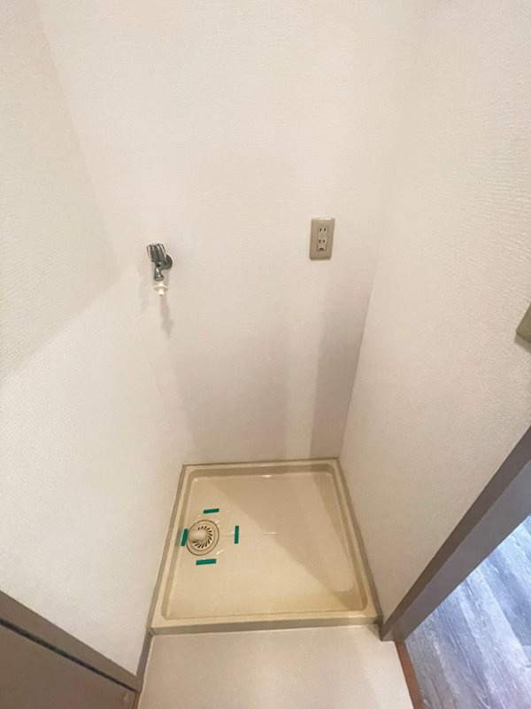 レヴィータのその他