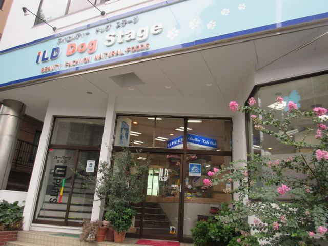 グリシーヌ五反野のその他|ＩＬＤ　Ｄｏｇ　Ｓｔａｇｅ
