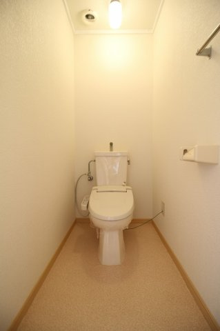 ロイヤルハイツのトイレ|トイレも気になるポイント