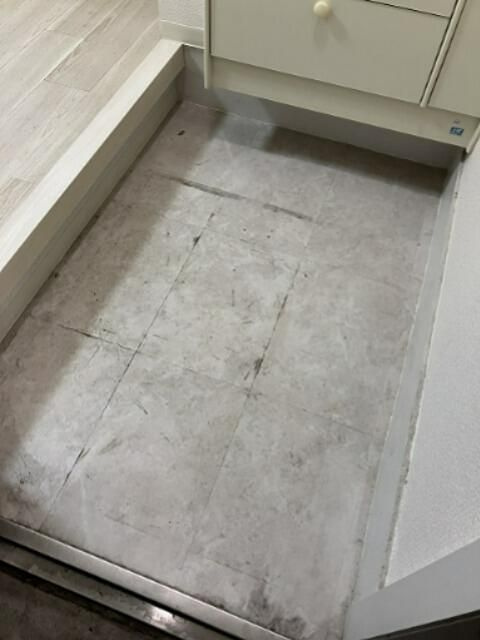 ハイブリッジＡの玄関