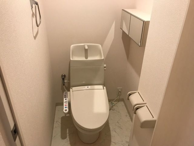 グレース・シャトー・エマⅡのトイレ