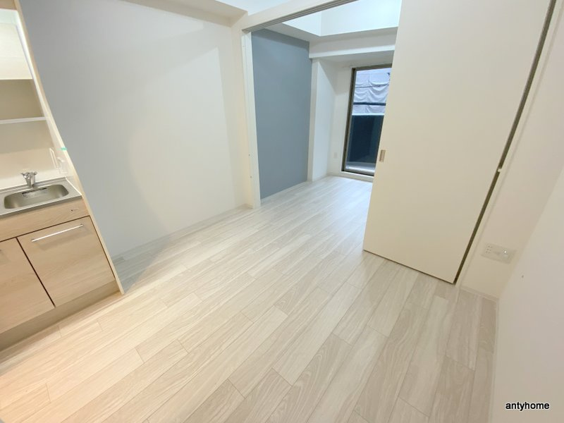 セレニテ難波ミラク参番館　仲介手数料無料の居間・リビング