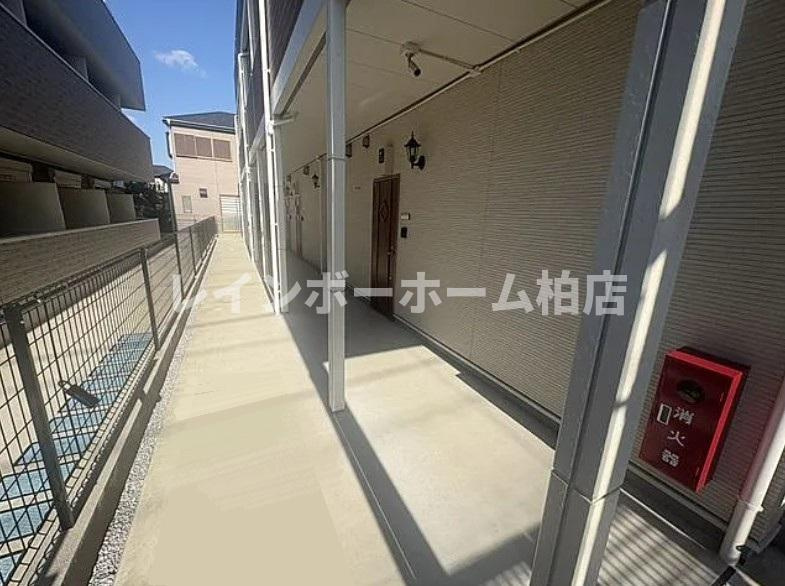 特典：仲介手数料が無料です!!のその他共用部分|共用廊下です
