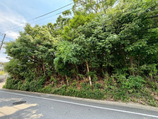 【前面道路含む現地写真】 | 岡山町　売土地 | 【周辺施設もご紹介可能】お住まいになった際のイメージをお持ちいただくため、周辺施設へのご案内も致します♪お気軽にお申し付けください！