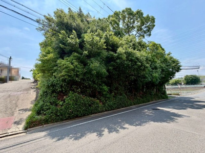 【前面道路含む現地写真】 | 岡山町　売土地 | 現地見学当日から承っております♪現地周辺の環境や、駅までの道お家探しを始めてみようと思われたら是非【イエストア】までお気軽にご相談下さいませ♪