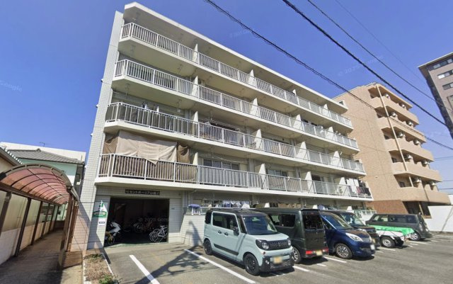 セントポーリア山越のその他