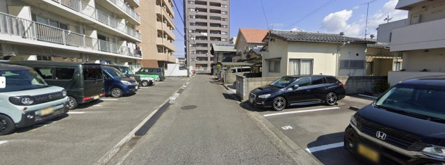 セントポーリア山越のその他