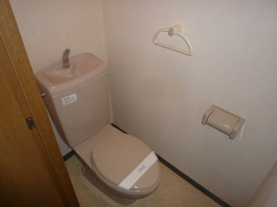 アウローラのトイレ|落ち着いた色調のトイレです