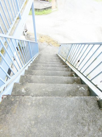 グリーン田中の庭